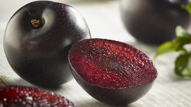 Queen Garnet plums.