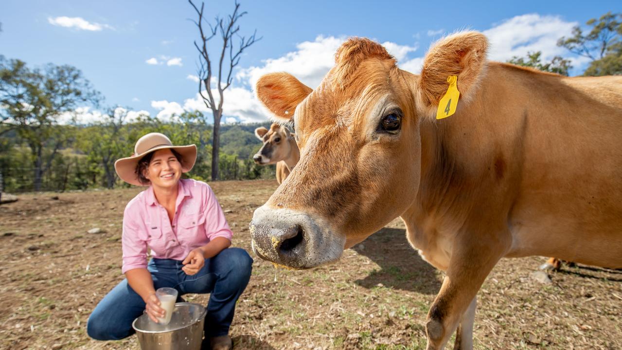 Kay Tommerup with the dairy herd at Tommerup Farm.