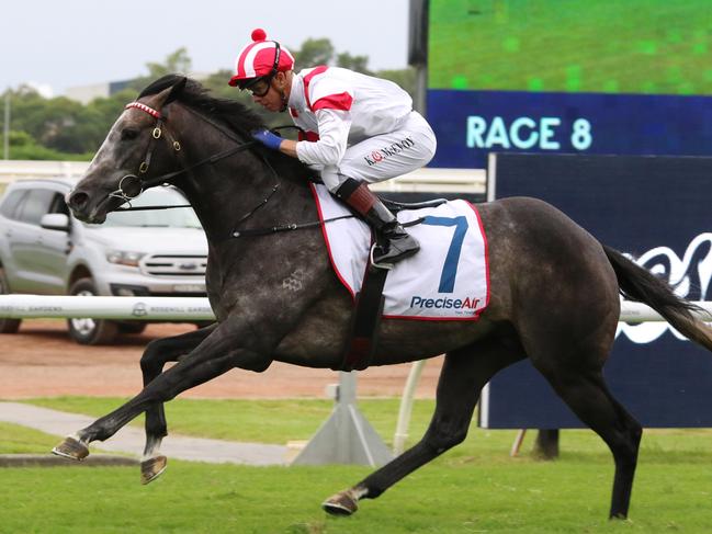 Celestial Legend is ready for his much anticipated clash with Militarize in the Group 1 Randwick Guineas at Randwick on Saturday. Picture: Grant Guy