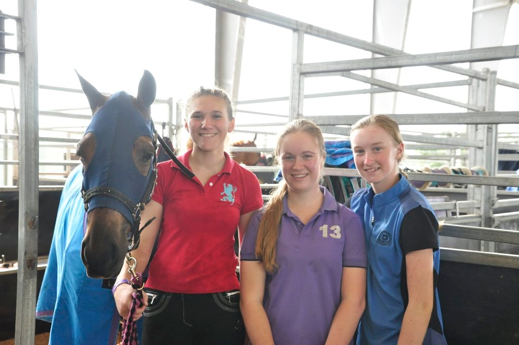 GALLERY: The not so glamorous side to showing horses | The Courier Mail