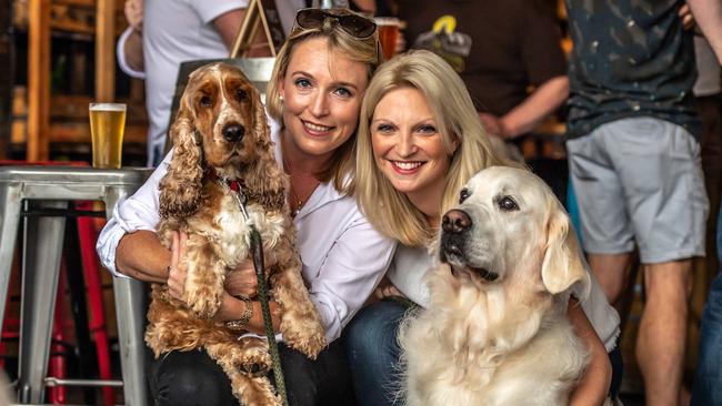 Sam Robertson, Sam Thomas and Casper, the ‘friendly’ golden retriever. Picture: Monique Harmer.