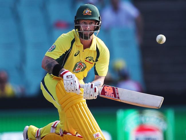 Wade scored a quick-fire 38 against New Zealand at the SCG. Picture: Phil Hillyard