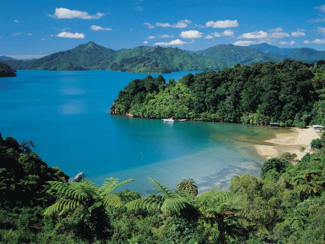 The Visit Picton guide claimed Picton’s Queen Charlotte Track was 70km, but apparently it is 71km.