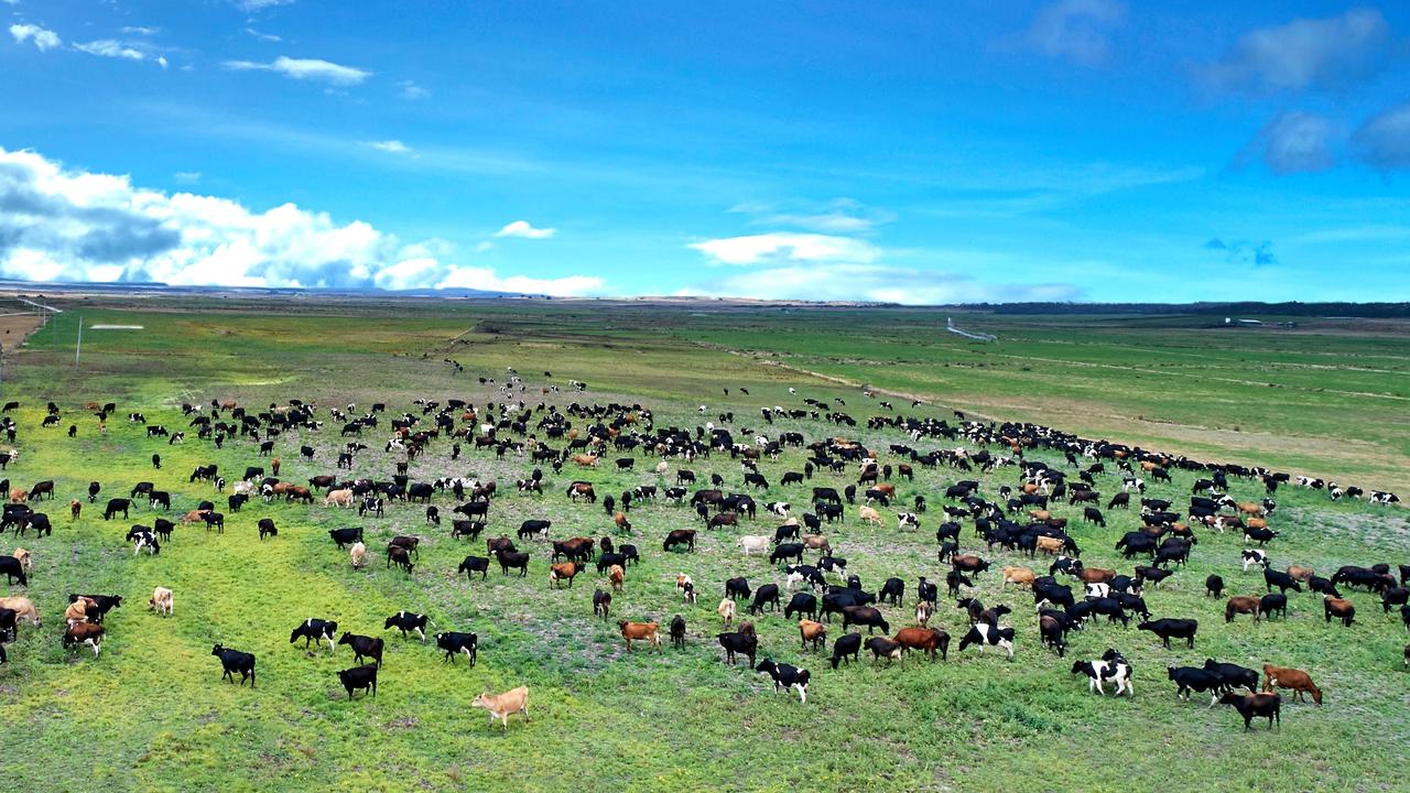 Good and bad news for Tas farmland prices