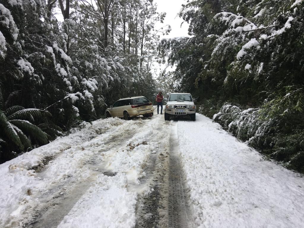 Cars on the road to Hartz Peak. Picture WOJT KOWALUK