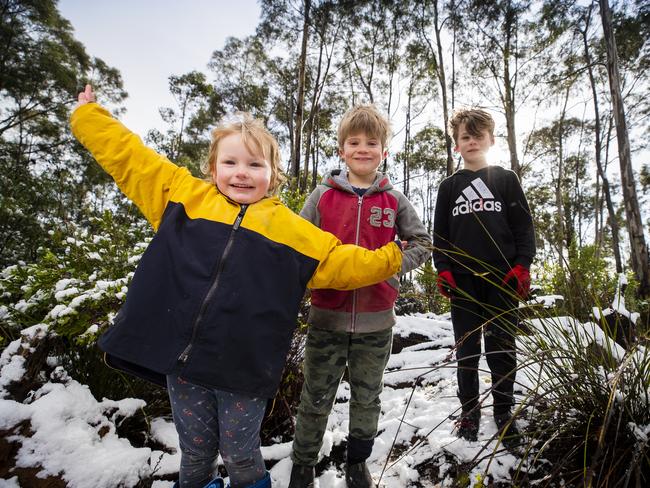 Chloe Guth and Toby and Kale Banks play in the snow on their property in Margate. Picture: Richard Jupe