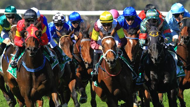 Loving home ridden by Tye Angland  (yellow cap, maroon with yellow armbands) wins race 1 during Scone  Races located in the Upper Hunter Region of NSW. The Bend . Pic Jenny Evans