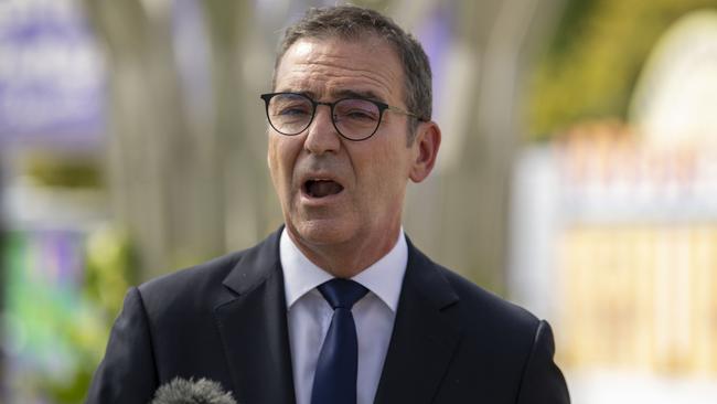 South Australian Premier Steven Marshall made an election-eve appeal to Canberra to act on excise. Picture: Naomi Jellicoe