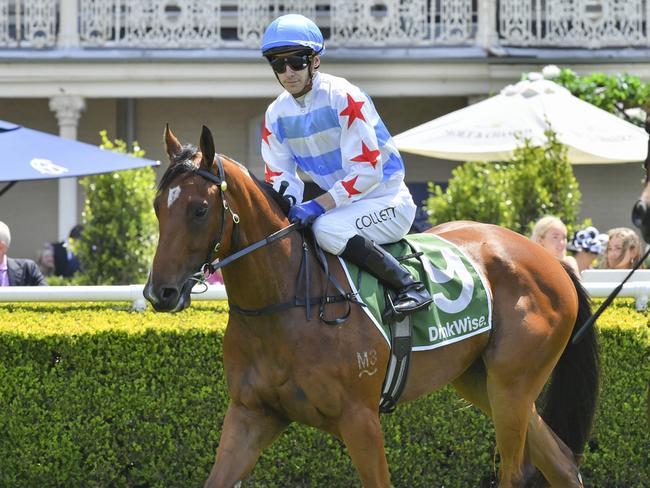 Promising filly Miss Judas makes her long awaited return to racing at Kembla. Picture: Bradley Photos