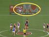 Fans lose it over AFL’s X-rated new logo