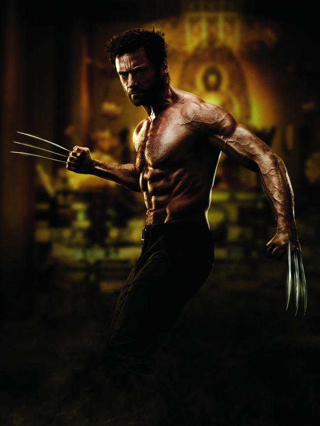 The real Wolverine, played by Hugh Jackman. Picture: Supplied