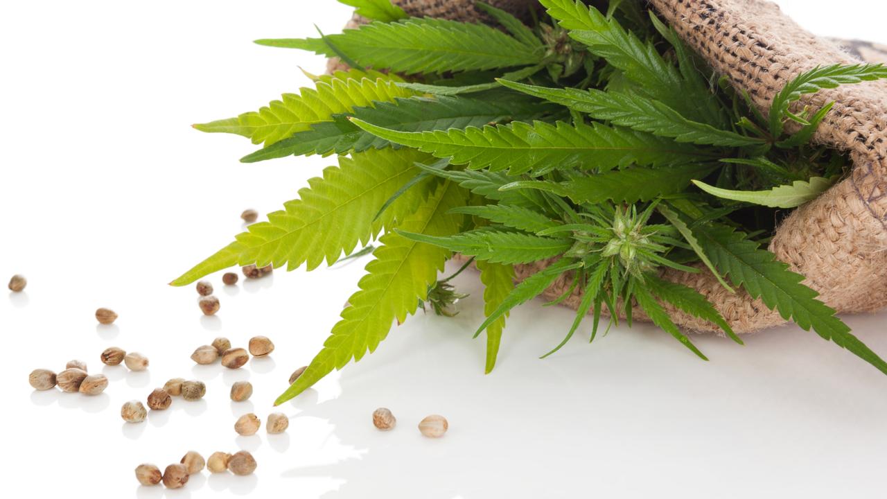 5 Most Common Types of Cannabis Seeds