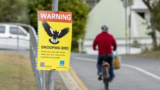 Brisbane City Council places a physical signage at Sandford Street in St Lucia. Picture: Richard Walker