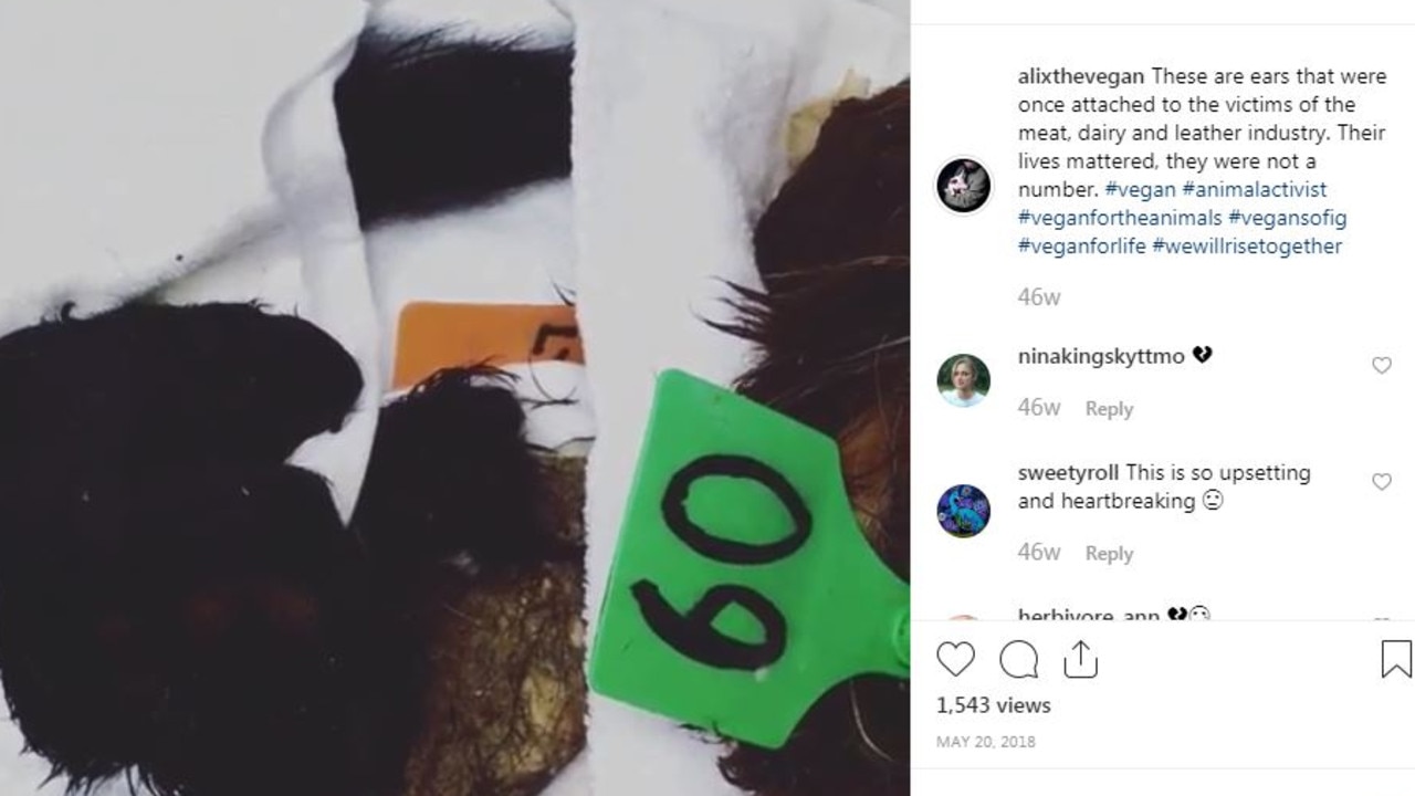 More cows’ ears Livingstone has posted on Instagram in a protest against animal slaughter. 