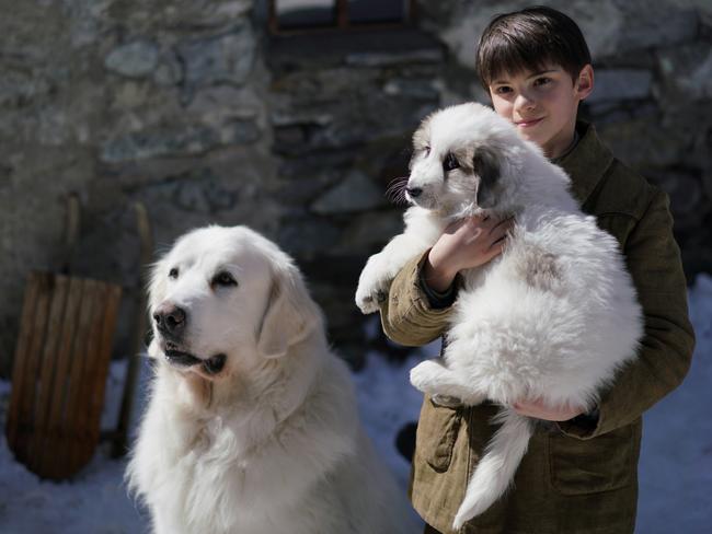 Sebastian with Belle, now a mum to three mega-cute puppies.