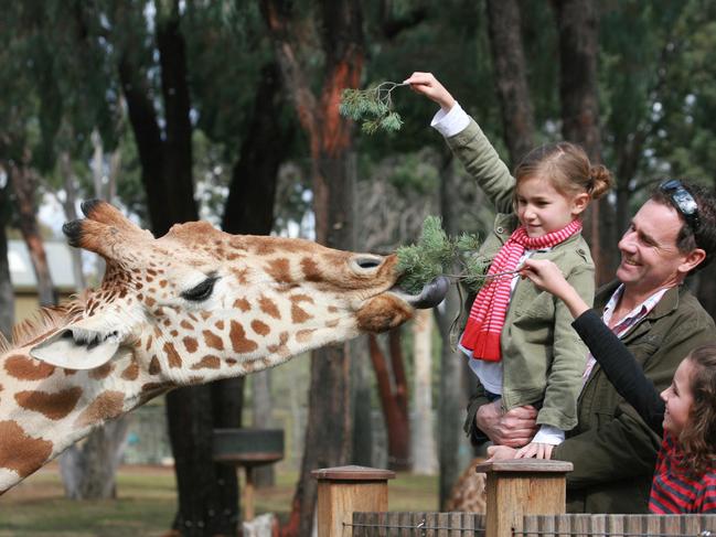 The Dubbo Taronga Western Plains Zoo will receive multimillion-dollar upgrade