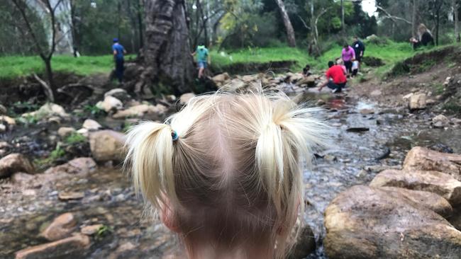 The creek at Morialta Conservation Park Nature Playground.