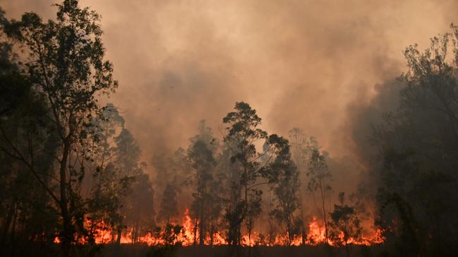 A fire rages in Bobin, 350km north of Sydney on Saturday.