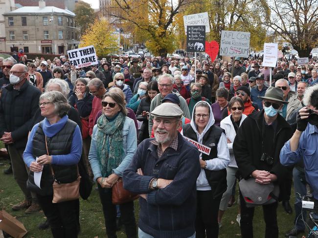 Stop the Stadium rally on parliament lawns Hobart. Picture: Nikki Davis-Jones