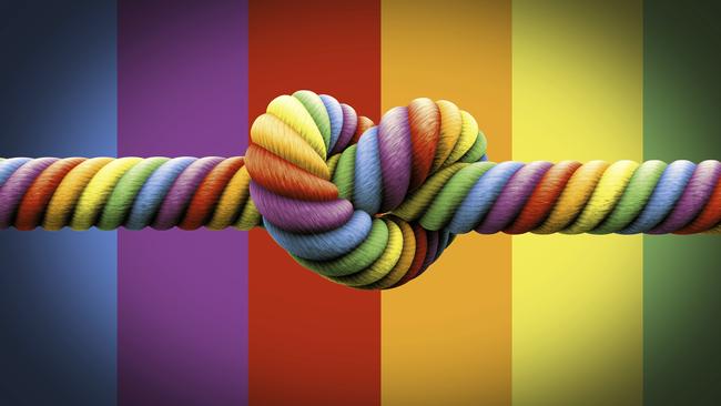 Knot again: will a 40pc No vote herald the rise of the new right?