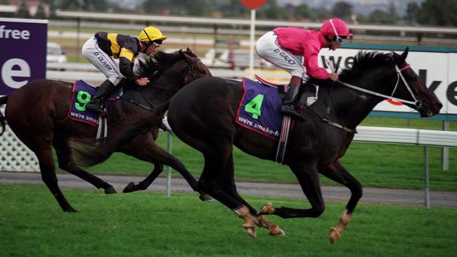 The John Hawkes-trained Clang winning at Morphettville.