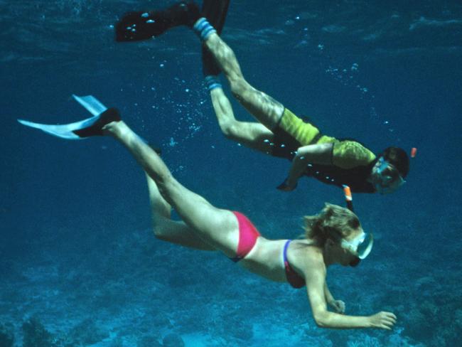 Snorkellers and coral, Great Barrier Reef, Queensland, Australia. (Photo by Auscape/UIG via Getty Images)