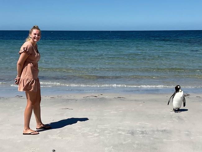 Brodie Cowen from Dubbo, NSW with a king penguin on  Burns Beach at Port Neill on Eyre Peninsula.  Picture: Brodie Cowen