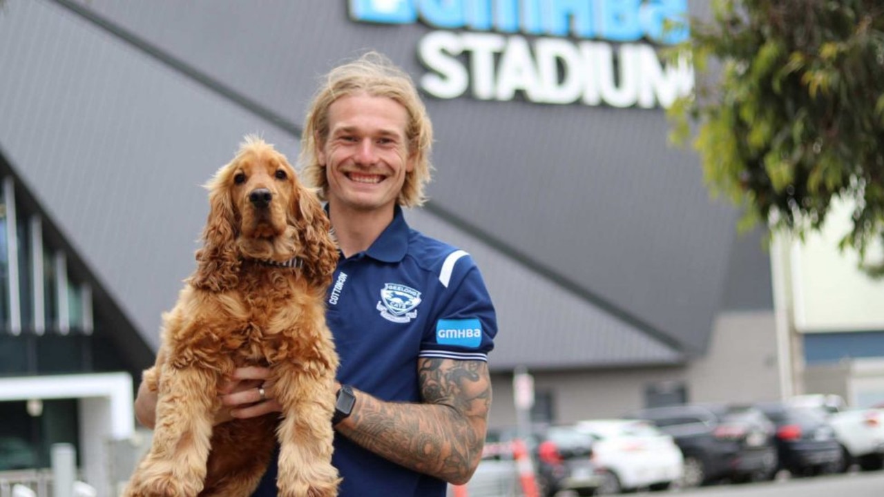 Tom Stewart of the Geelong Cats is an ambassador for Apiam's Fur Life vet clinic brand.