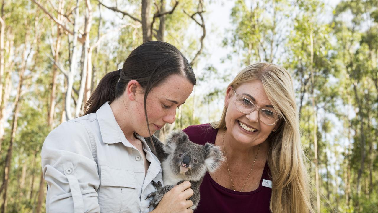 Koala, Land and Wildlife Support (KLAWS) volunteer and vet nurse Kiara Hill (left) introduces Natalie Fogarty of Vigour Graphics to her namesake Natalie the rescue koala.