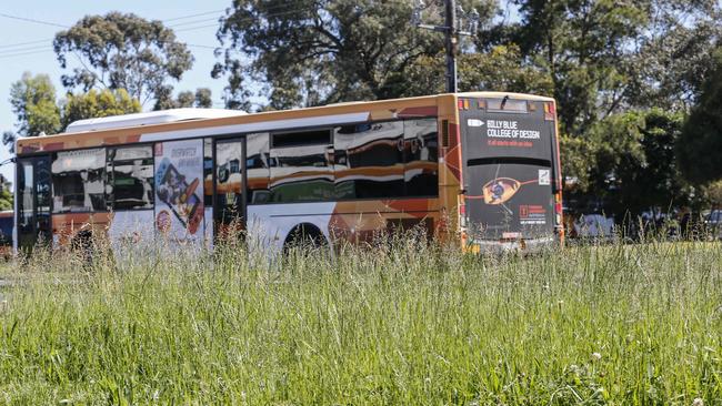 The overgrown grass near Westfield Knox. Picture: Wayne Taylor.