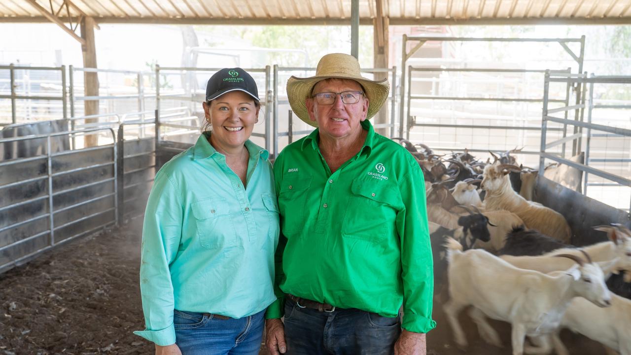 Riding the goat tales of a homegrown revolution
