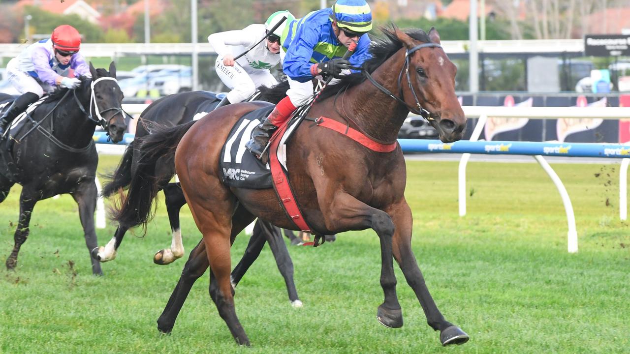 Shock ‘Em Ova was a dominant first-up winner at Caulfield on May 11 before heading to Queensland for Saturday’s Lord Mayor’s Cup. Picture: Racing Photos via Getty Images.
