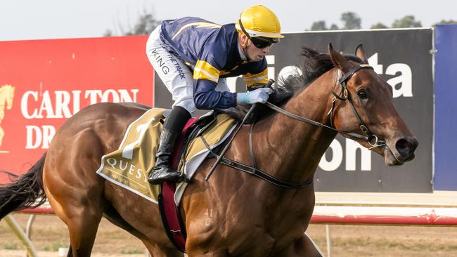 Enxuto, pictured winning at Echuca in May 2024, is Daniel Sankey's best bet of the day at Flemington on New Year's Day. Picture: Jay Town / Racing Photos