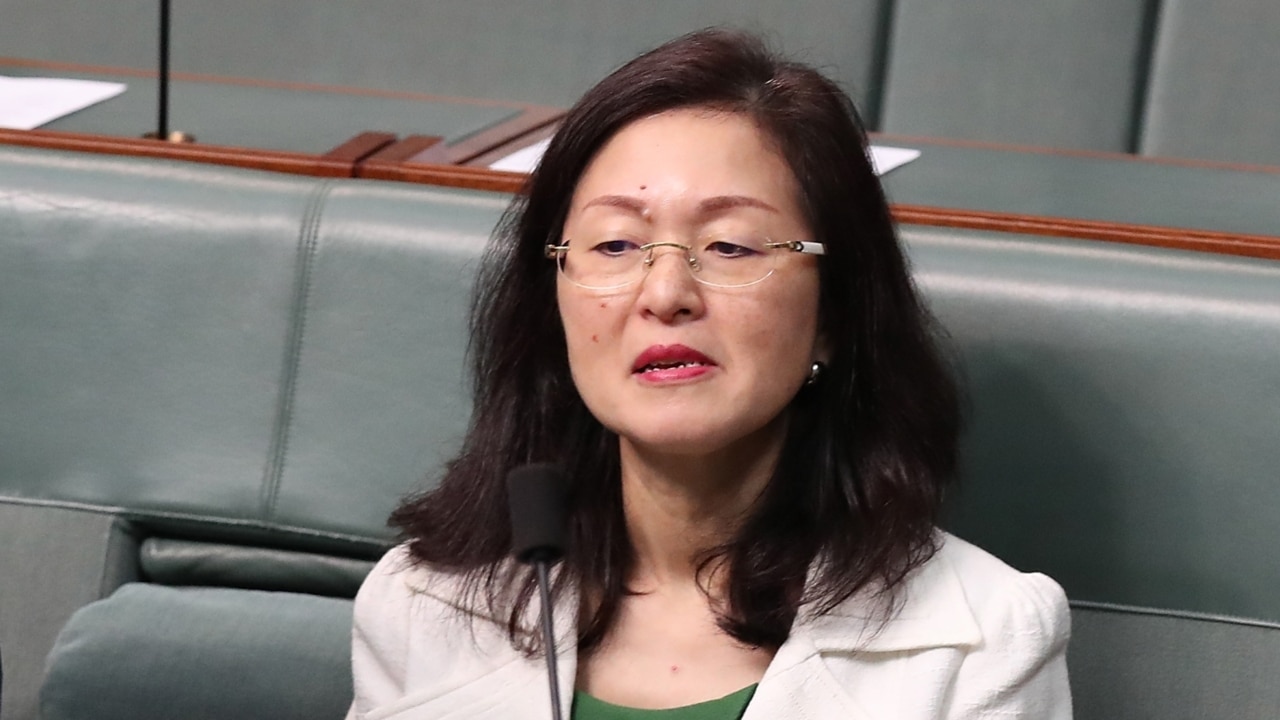 Gladys Liu faces fresh allegations