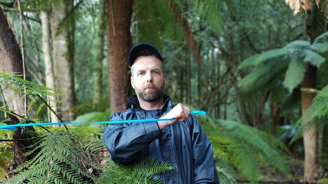 Wilderness Society Tasmania campaign manager Tom Allen with Sustainable Timber Tasmania blue tape marking out native-forest Coupe TN 034G. Picture: AMANDA DUCKER