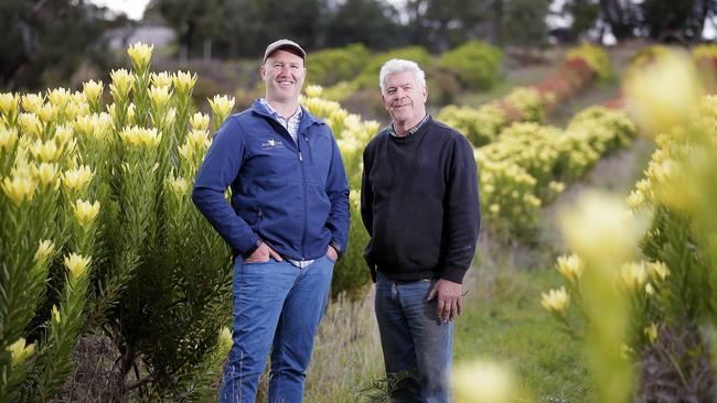 Craig Ferguson from Arm End with Halfmoon Bay farmer Ian Grubb discuss plans to pipe water to South Arm from the Blackmans Bay treatment plant. Picture: RICHARD JUPE