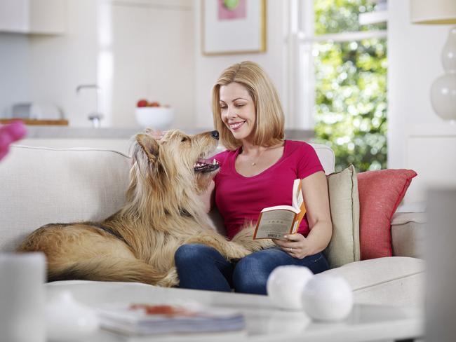 Pets can reduce stress and bring joy to your life. They can also drive you crazy.