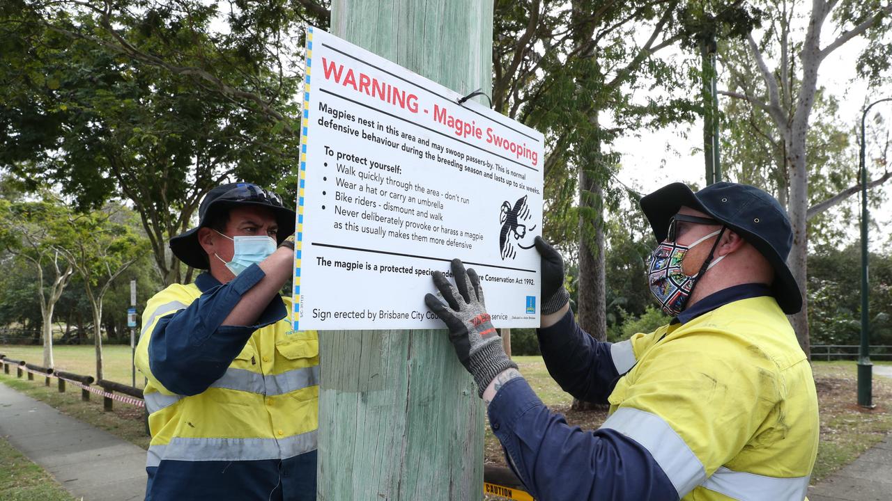 Council workers erecting more warning signs at Holland Park. Picture: Liam Kidston