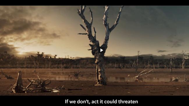 A snapshot from the Albanese government's Save the Murray Darling Basin Rivers television campaign advertisement, which warns "rivers may run dry if we don't act".