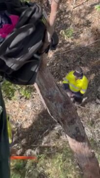 Save Lee Point protester allegedly threatened