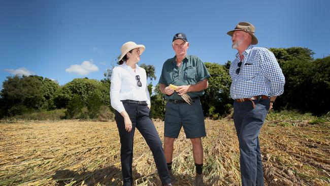 Premier Annastacia Palaszczuk and Agriculture Minister Bill Byrne visit farmer Ross McInnes (centre) and his damaged corn crops in Harrisville. Picture: Jono Searle