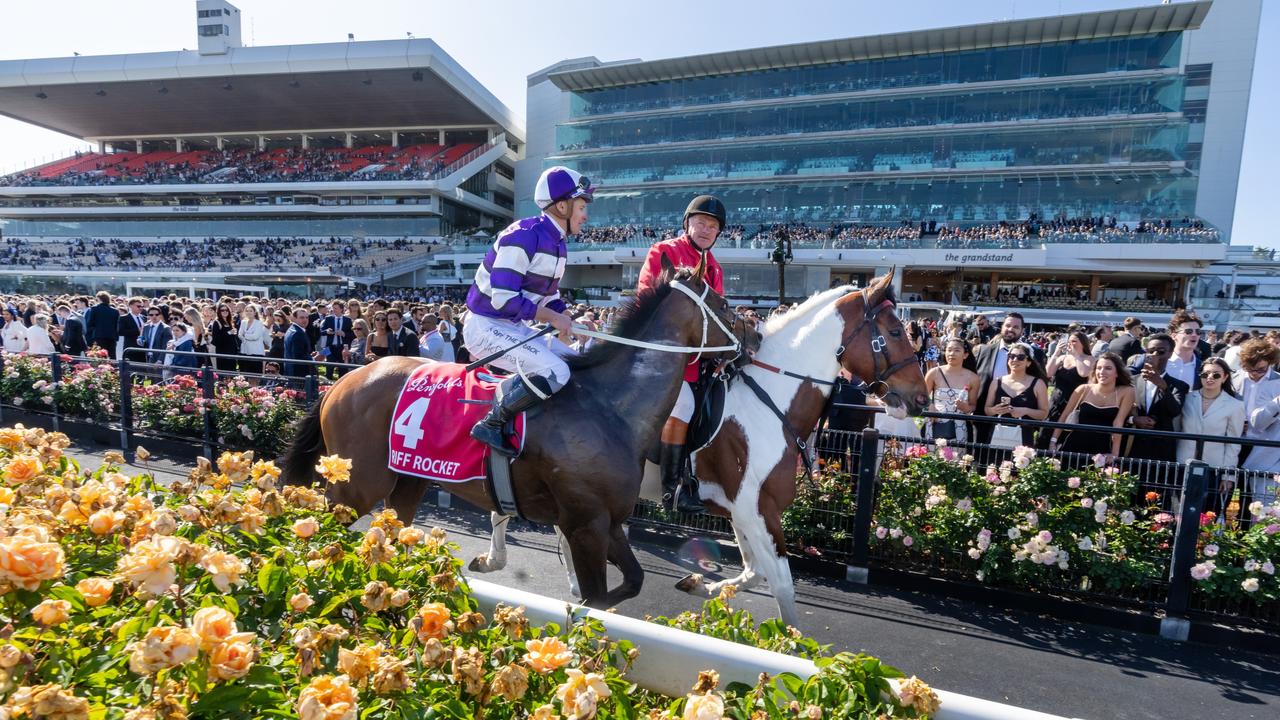 Melbourne Cup 2023 weather, forecast, track conditions, how is the grass, Flemington Racecourse updates, latest news