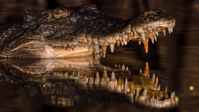 Lizzie the crocodile (pictured) was named after the Queen. Picture: Supplied