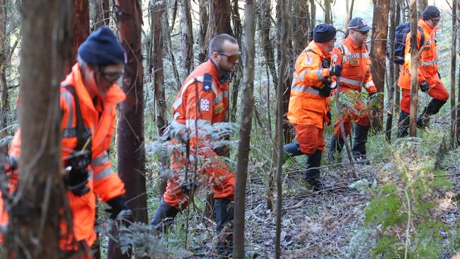 Hundreds of people volunteered during the three-day search. Picture: David Crosling