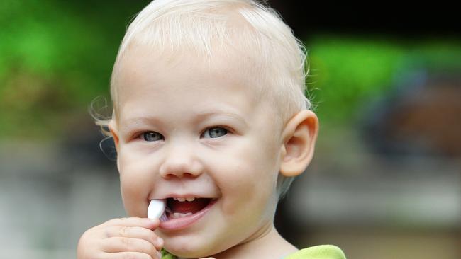 Michelle Pohlmann knows how important it is for her son Jack, 1, to brush his teeth. Pic by Luke Marsden.