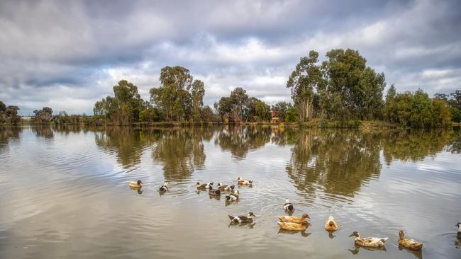 Lake Victoria in the Central Victorian Gold Rush town of Maryborough