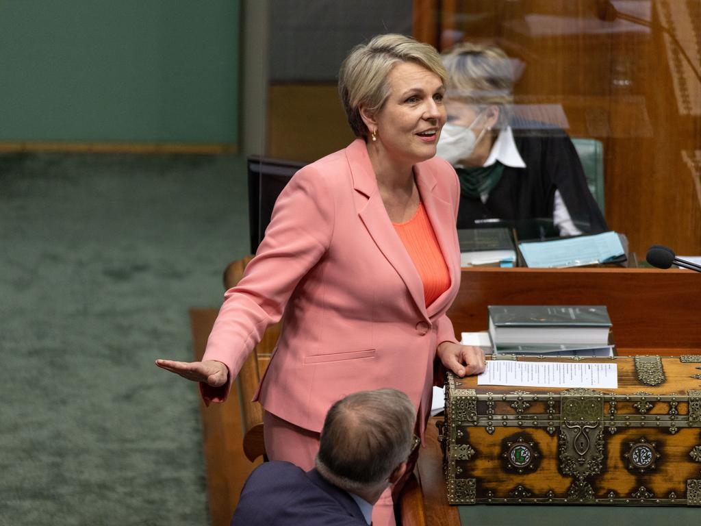 Environment and Water Minister Tanya Plibersek during Question Time in the House of Representatives in Parliament House. Picture: NCA NewsWire / Gary Ramage