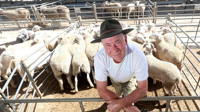 Vendor Jon Martin sold lambs at Bendigo this week for $150. Picture: Yuri Kouzmin