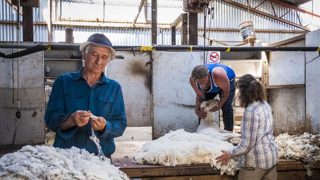 Tasmanian wool grower Bernard Brain sells his non-mulesed wool through Australian Wool network and the ethical accreditation supply chain system ZQ Wool, with his fine wool ending up in Icebreaker merino products. Picture: Chris Crerar