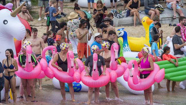 Ready, steady flamin-go! (AAP IMAGE / Troy Snook)